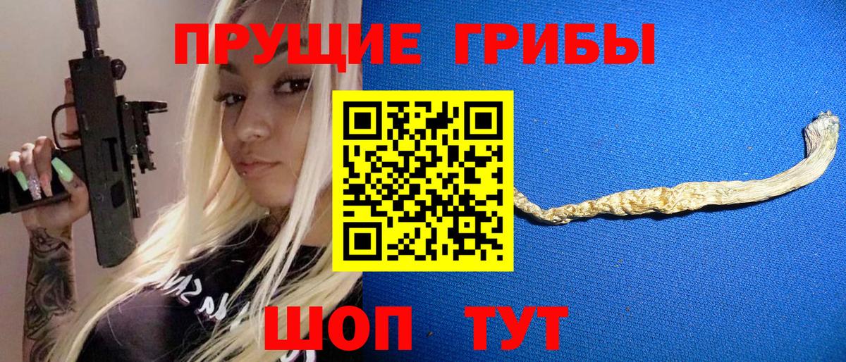 Псилоцибиновые грибы Psilocybine cubensis Кулебаки