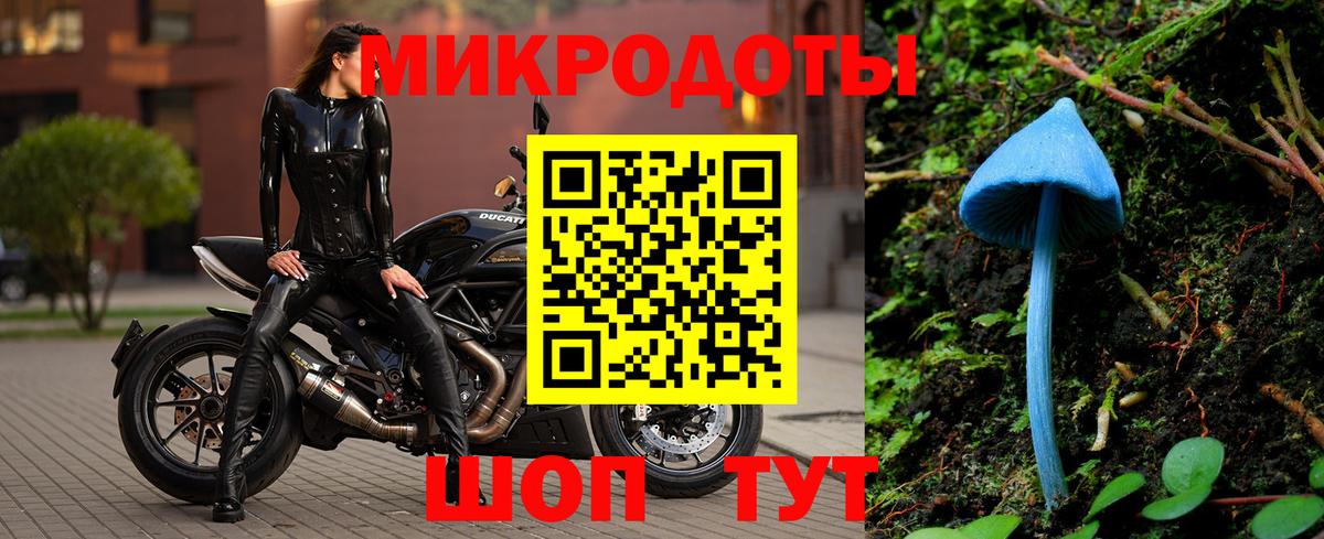 Псилоцибиновые грибы GOLDEN TEACHER  Вход с VPN  Кулебаки  Псилоцибиновые грибы Psilocybe 